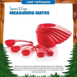 Tupperware measuring mates